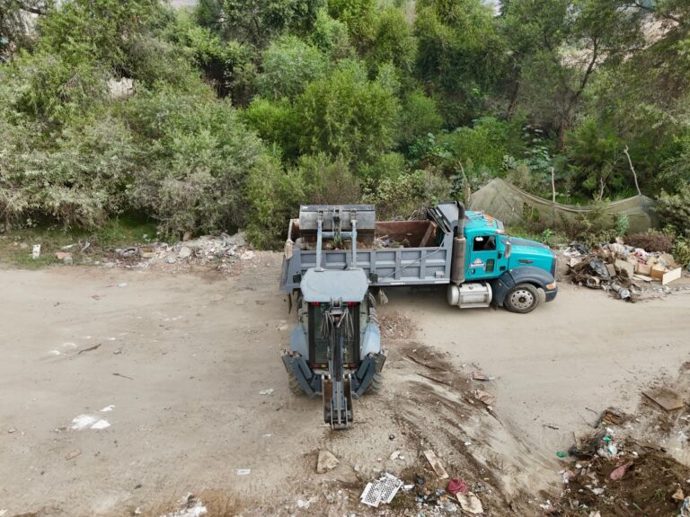 WhatsApp Image 2025-09-25 at 11.44.28 AM