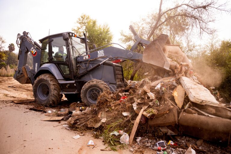 WhatsApp Image 2025-09-25 at 11.45.49 AM