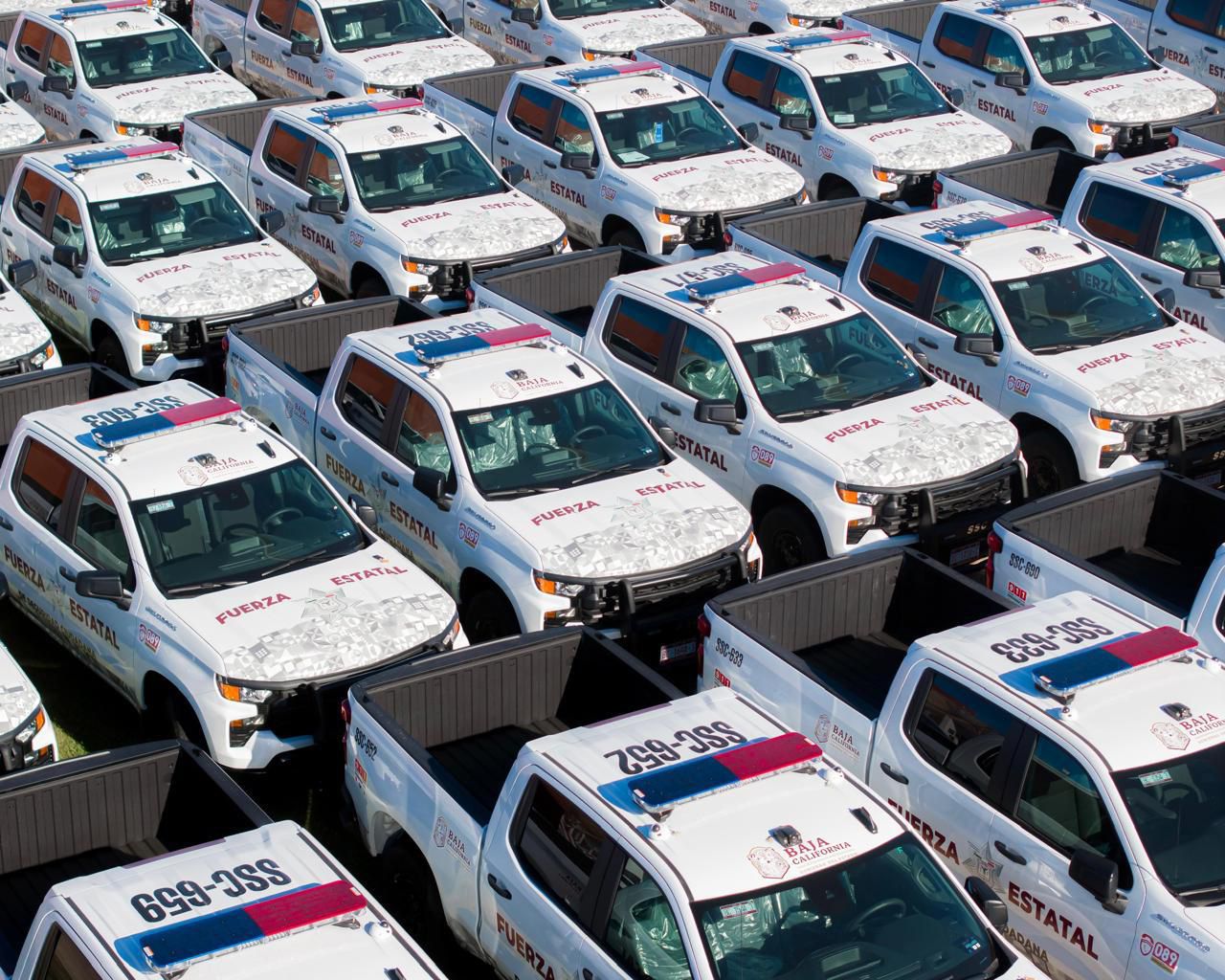 WhatsApp Image 2025-09-25 at 2.56.09 PM