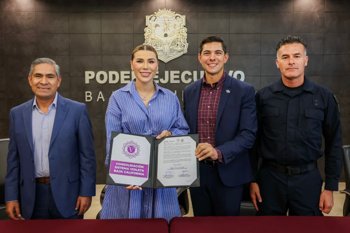 WhatsApp Image 2025-09-27 at 8.54.26 AM