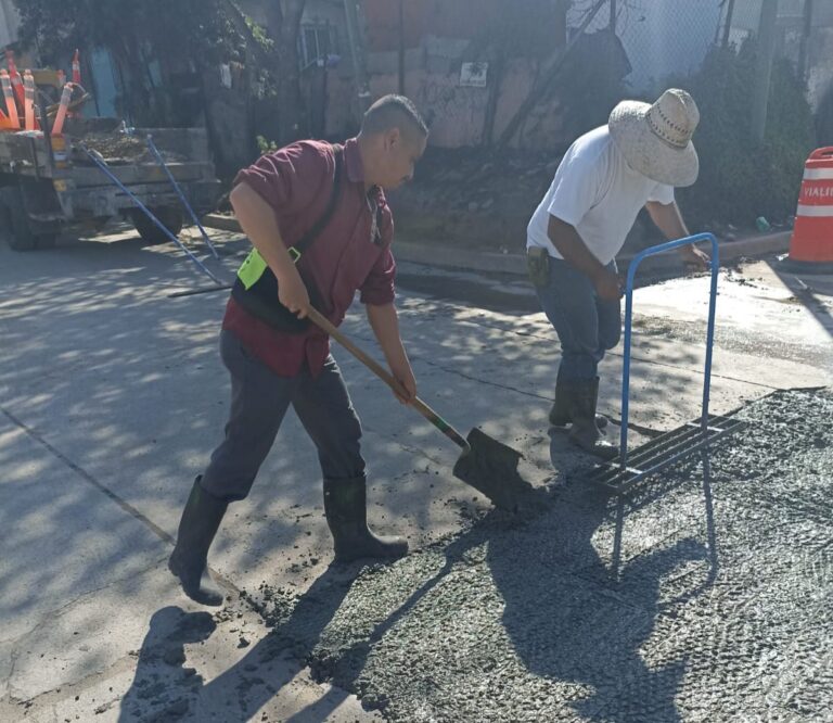 WhatsApp Image 2025-09-28 at 12.20.53 PM