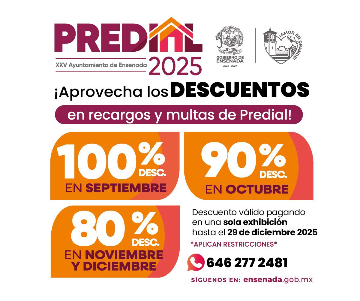 WhatsApp Image 2025-09-28 at 12.20.53 PM