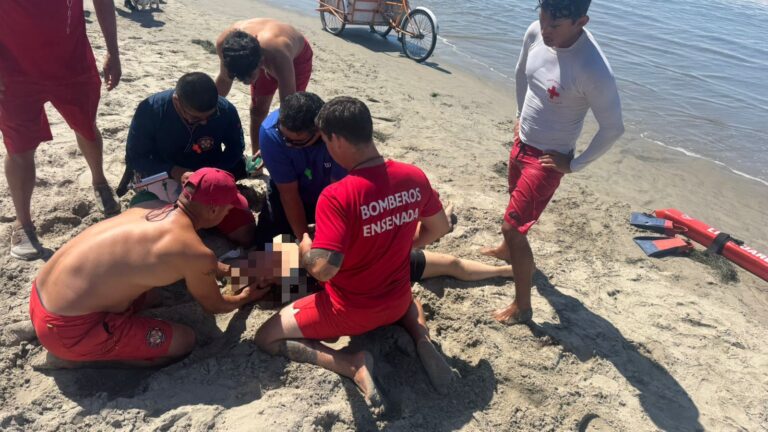 WhatsApp Image 2025-09-28 at 2.20.47 PM