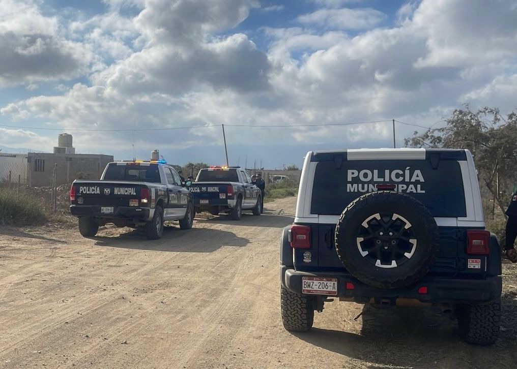 WhatsApp Image 2025-09-30 at 4.08.35 PM