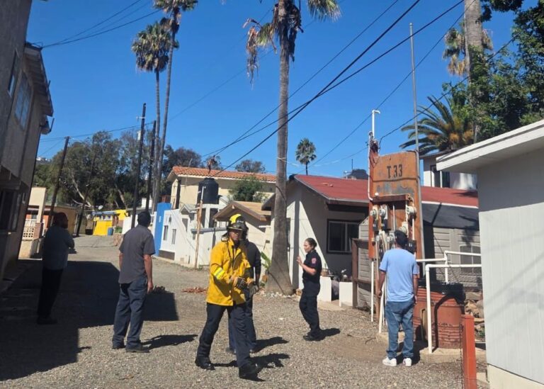 WhatsApp Image 2025-10-03 at 1.12.15 PM