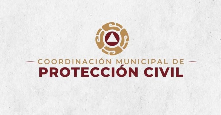 WhatsApp Image 2025-10-06 at 10.51.17 AM