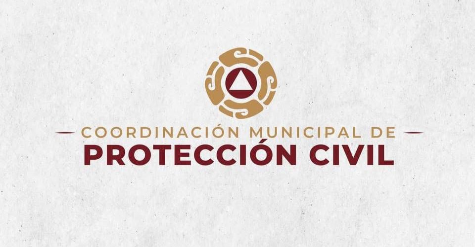 WhatsApp Image 2025-10-06 at 10.51.17 AM