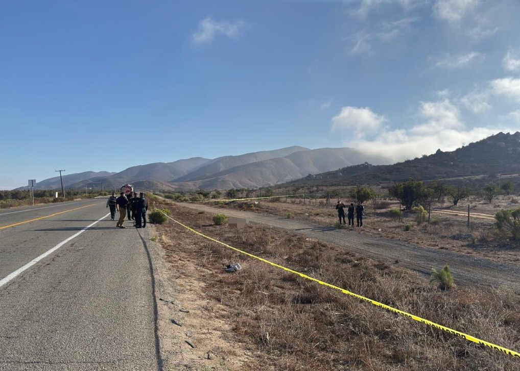 WhatsApp Image 2025-10-06 at 11.20.21 AM