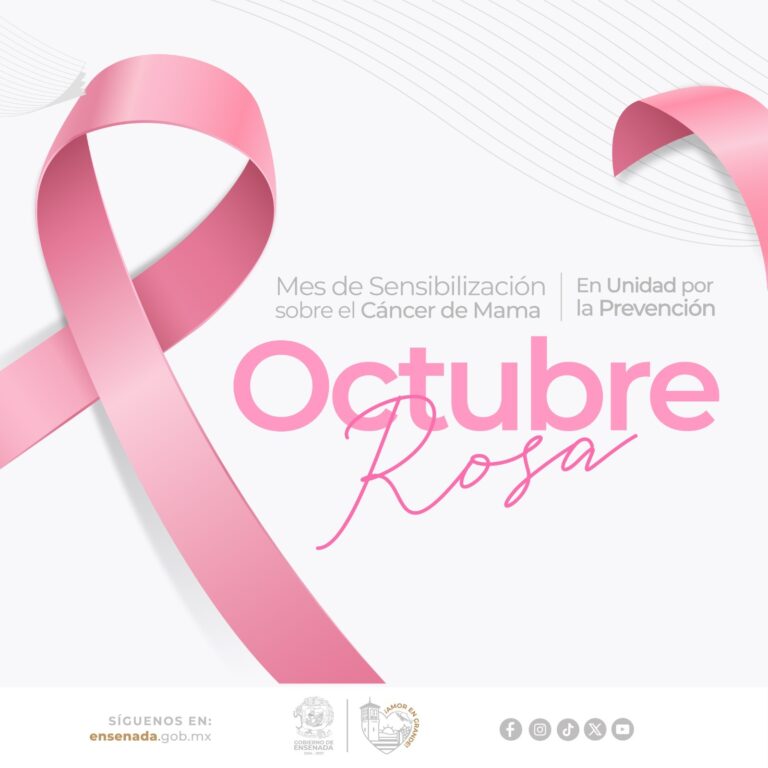 WhatsApp Image 2025-10-06 at 12.59.44 PM