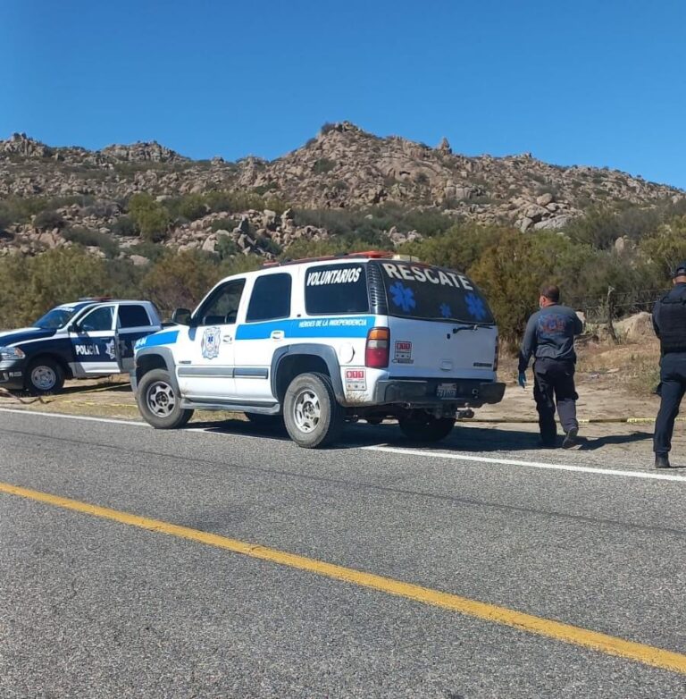 WhatsApp Image 2025-10-07 at 2.49.22 PM