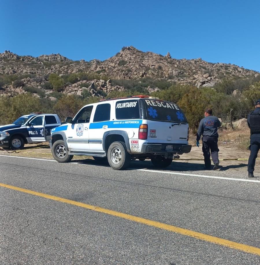 WhatsApp Image 2025-10-07 at 2.49.22 PM