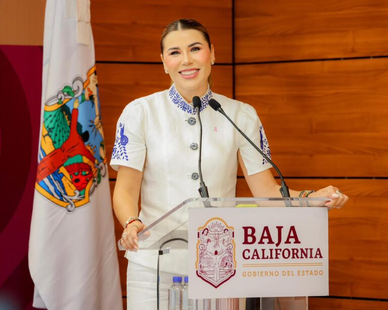 WhatsApp Image 2025-10-08 at 12.51.43 PM