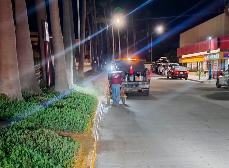 WhatsApp Image 2025-10-08 at 2.16.30 PM