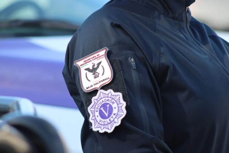 WhatsApp Image 2025-10-10 at 1.18.40 PM (1)