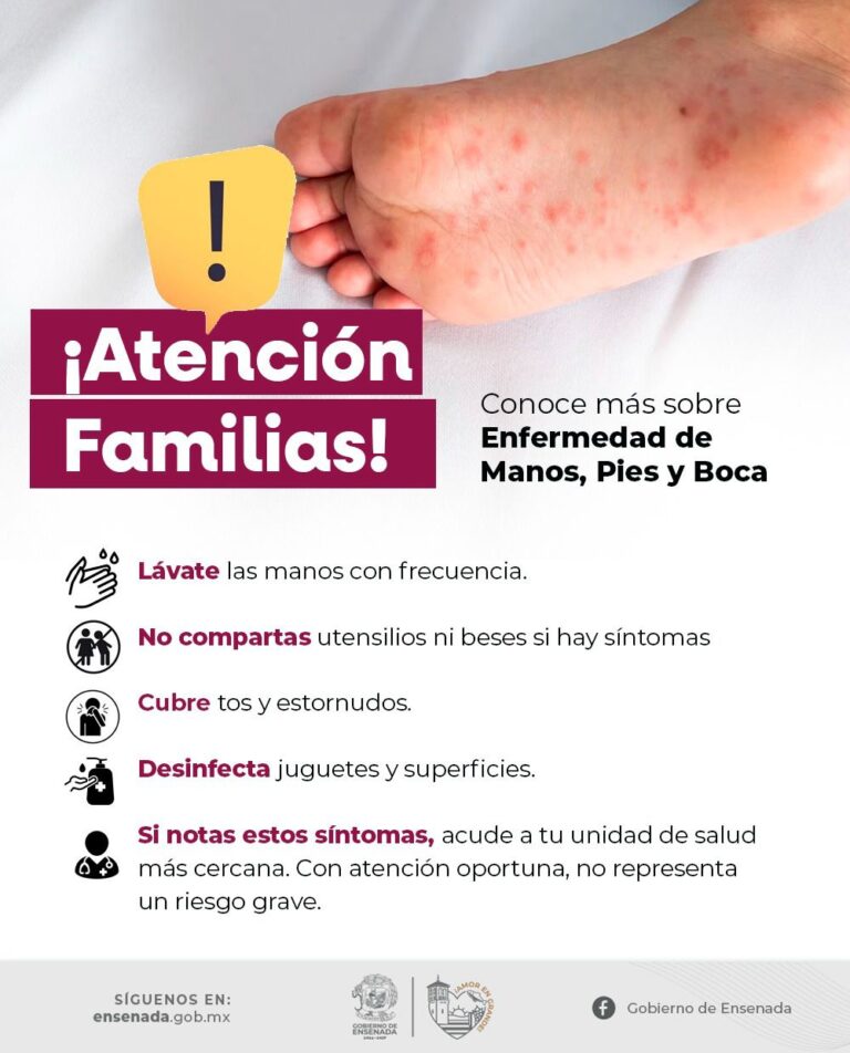 WhatsApp Image 2025-10-10 at 12.11.35 PM