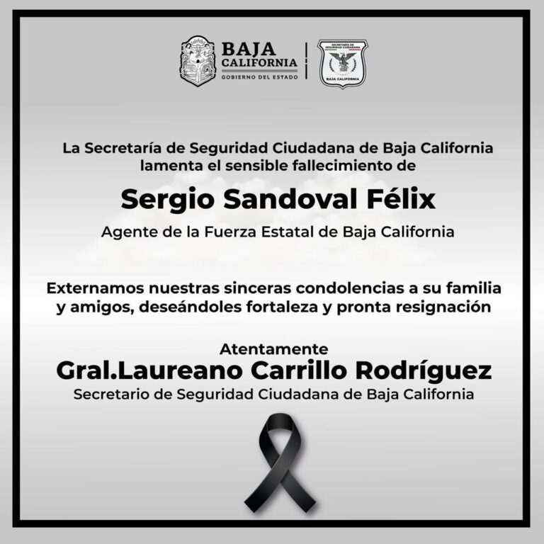 WhatsApp Image 2025-10-11 at 10.31.13 AM