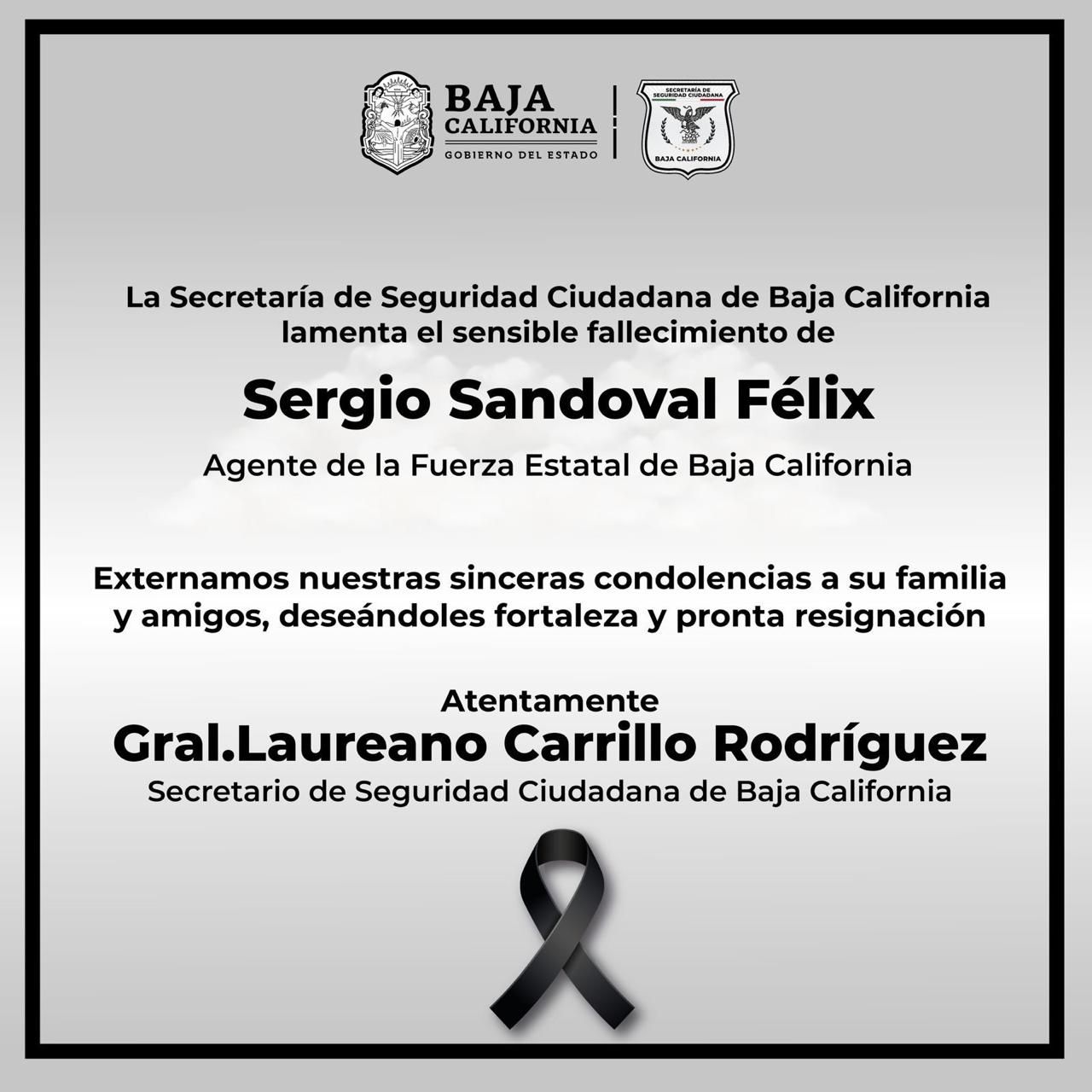 WhatsApp Image 2025-10-11 at 10.31.13 AM