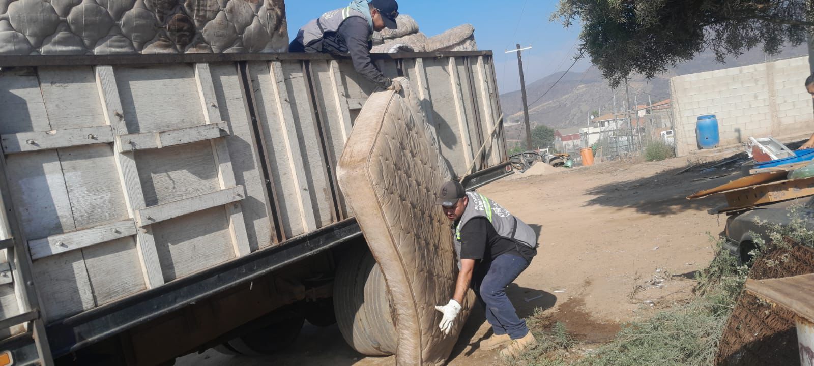 WhatsApp Image 2025-10-12 at 11.24.39 AM