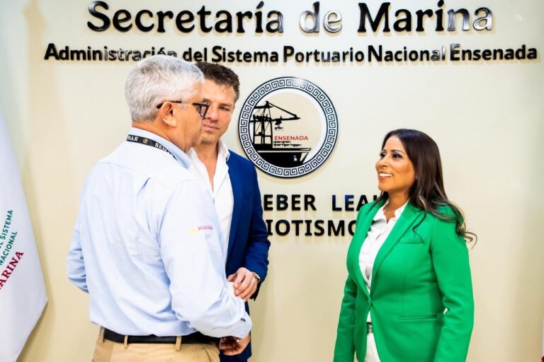 WhatsApp Image 2025-10-14 at 3.12.44 PM