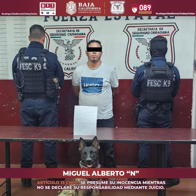 WhatsApp Image 2025-10-14 at 3.13.38 PM