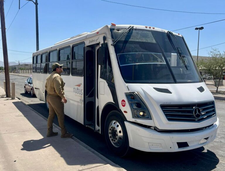 WhatsApp Image 2025-10-15 at 12.51.28 PM