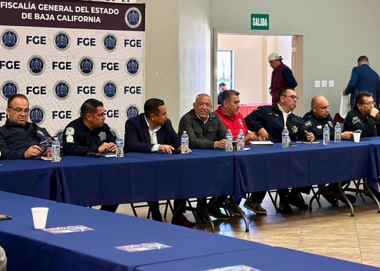 WhatsApp Image 2025-10-16 at 2.59.02 PM (1)