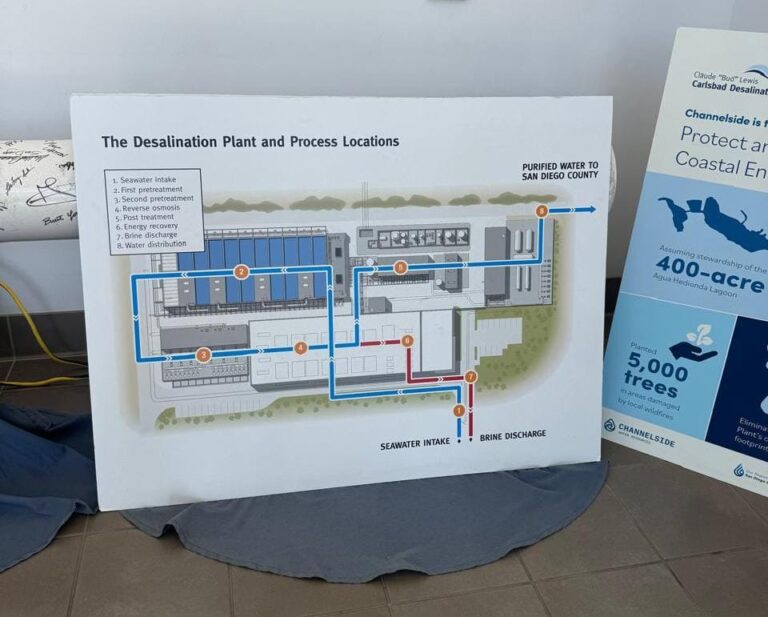 WhatsApp Image 2025-10-17 at 5.29.23 PM