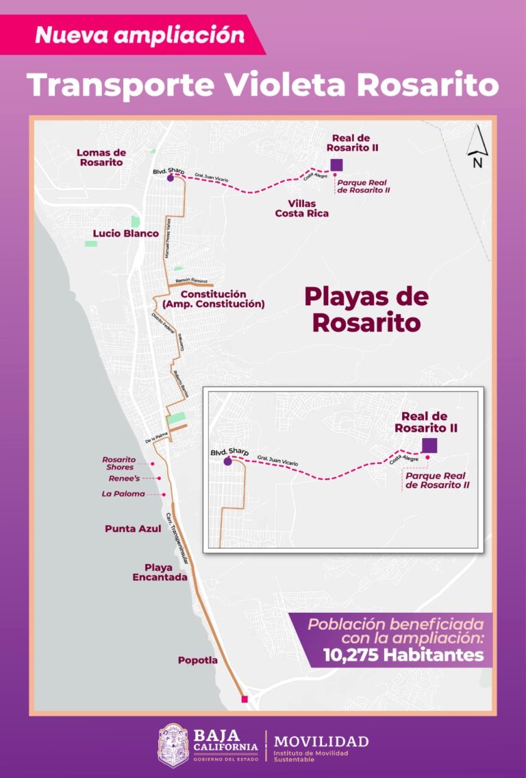 WhatsApp Image 2025-10-17 at 5.32.36 PM