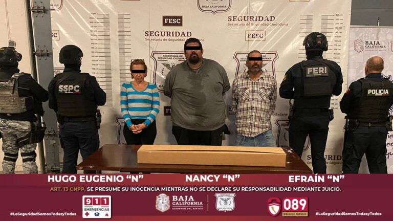 WhatsApp Image 2025-10-18 at 1.34.53 PM