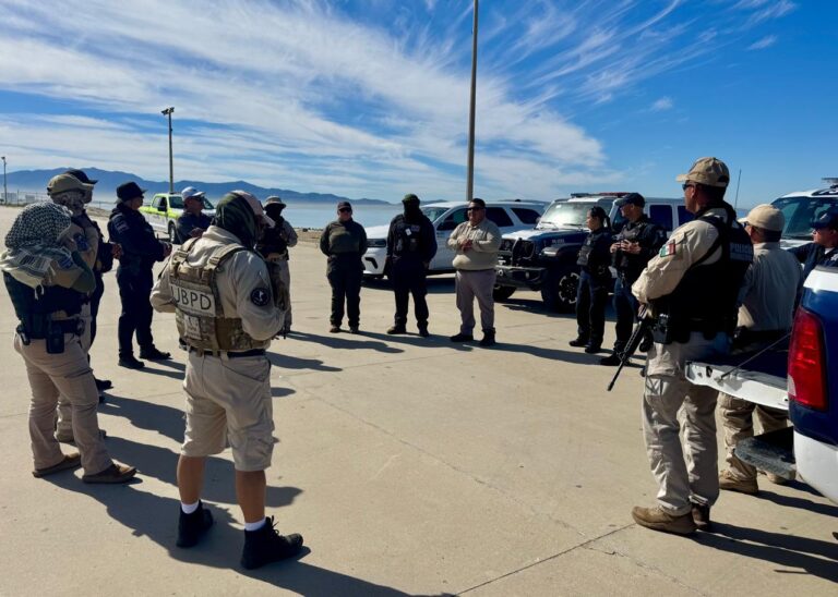 WhatsApp Image 2025-10-18 at 2.28.09 PM