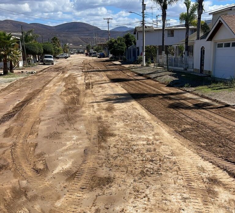 WhatsApp Image 2025-10-18 at 2.28.39 PM