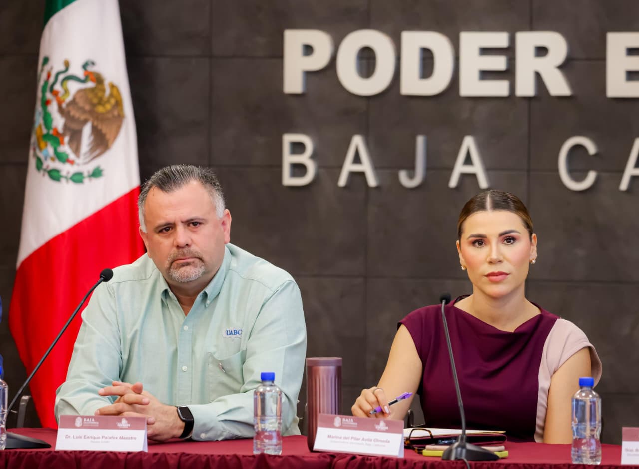 WhatsApp Image 2025-10-20 at 5.13.30 PM