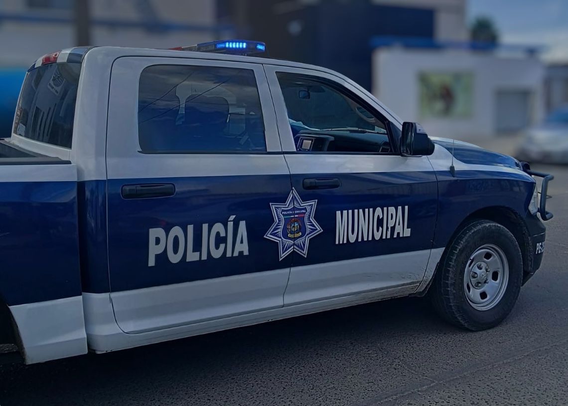 WhatsApp Image 2025-10-22 at 3.13.15 PM (1)