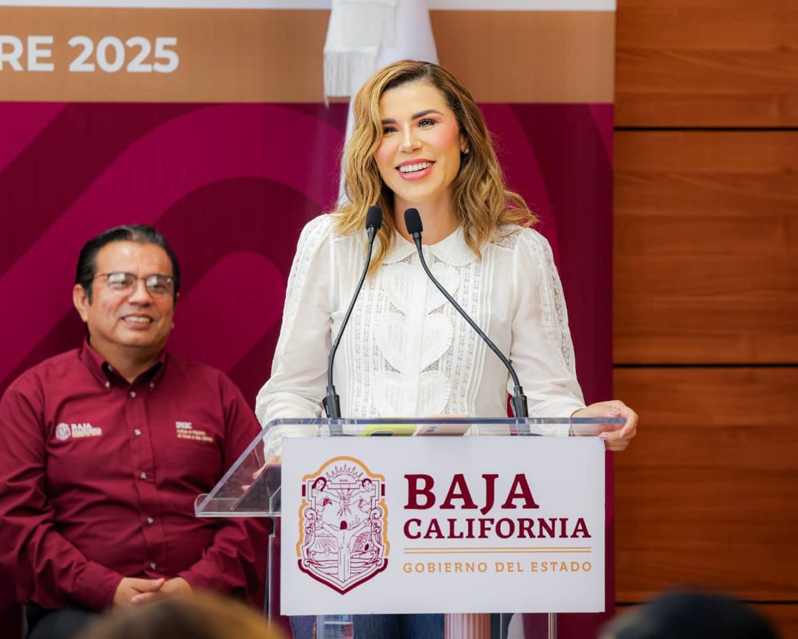 WhatsApp Image 2025-10-22 at 3.27.09 PM