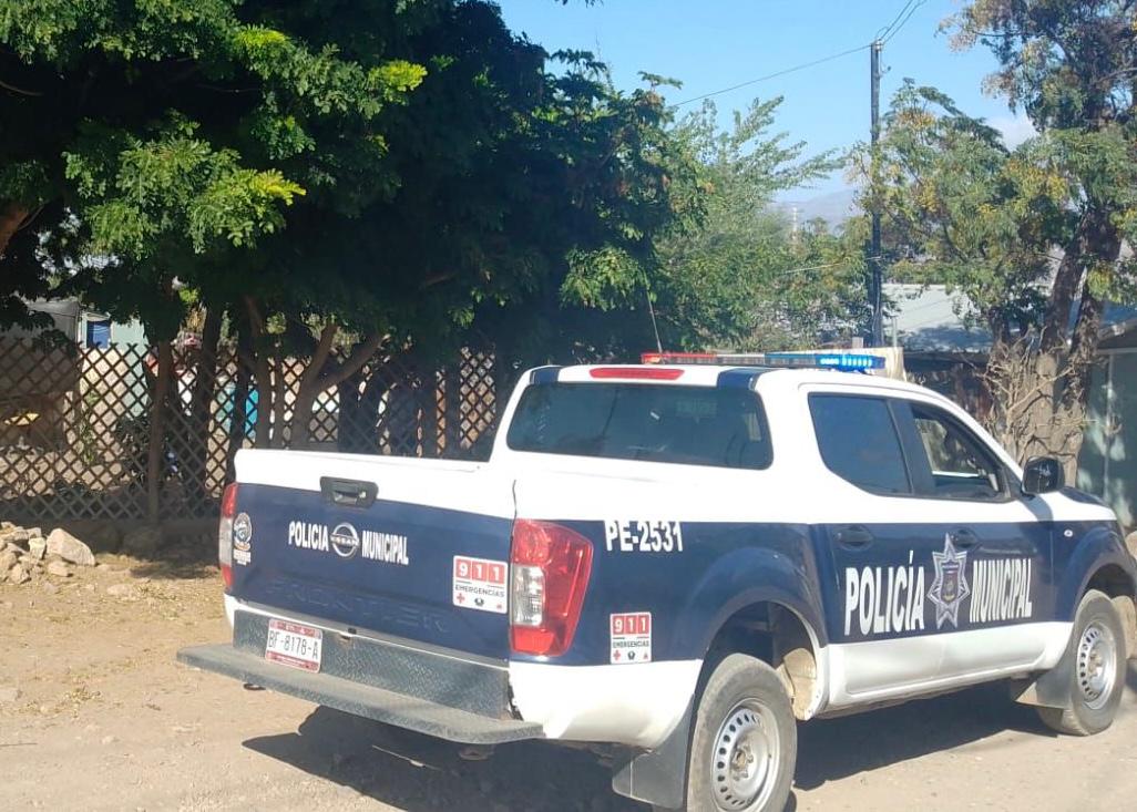 WhatsApp Image 2025-10-24 at 3.16.47 PM (1)