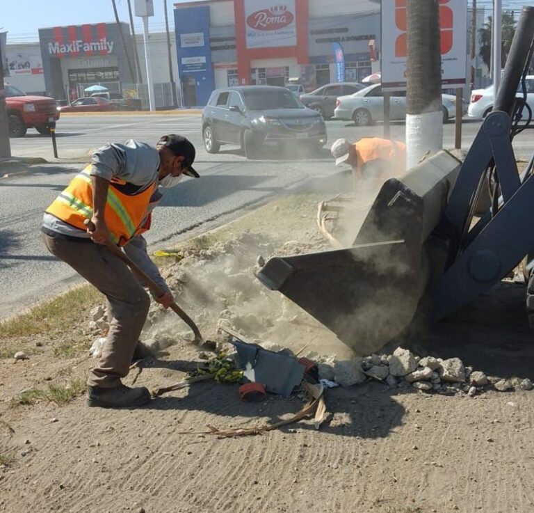 WhatsApp Image 2025-10-27 at 11.14.32 AM