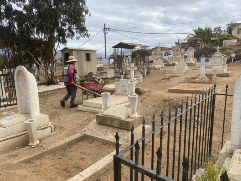 WhatsApp Image 2025-10-28 at 3.09.42 PM