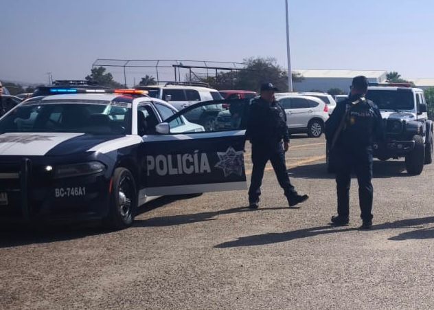 WhatsApp Image 2025-10-28 at 3.11.07 PM (1)