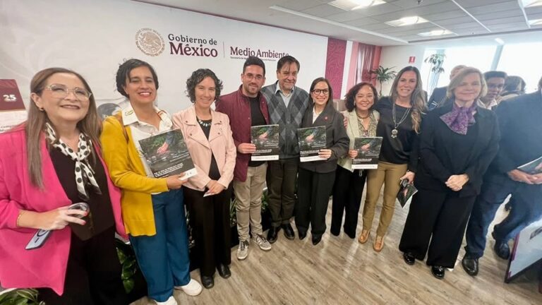 WhatsApp Image 2025-10-29 at 3.29.02 PM