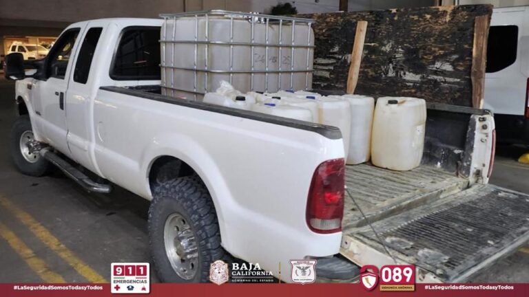 WhatsApp Image 2025-10-29 at 3.29.33 PM (1)