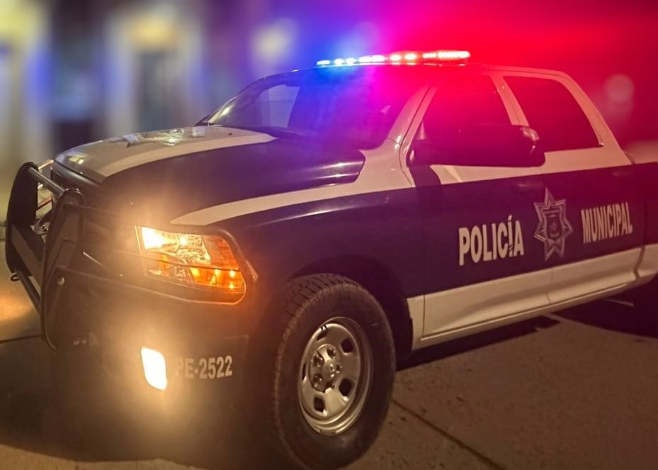 WhatsApp Image 2025-10-29 at 3.30.05 PM (2)