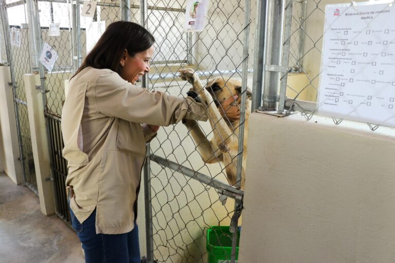 WhatsApp Image 2025-10-30 at 1.11.56 PM