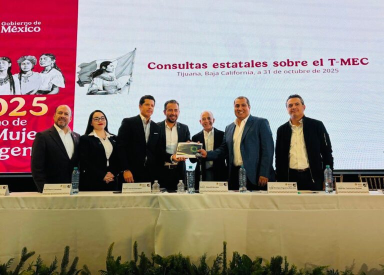 WhatsApp Image 2025-10-31 at 3.27.50 PM