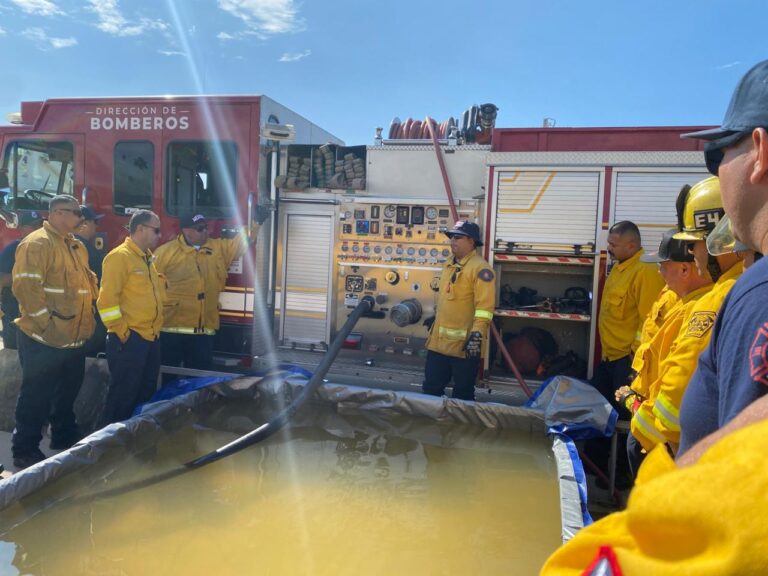 WhatsApp Image 2025-11-01 at 11.03.06 AM