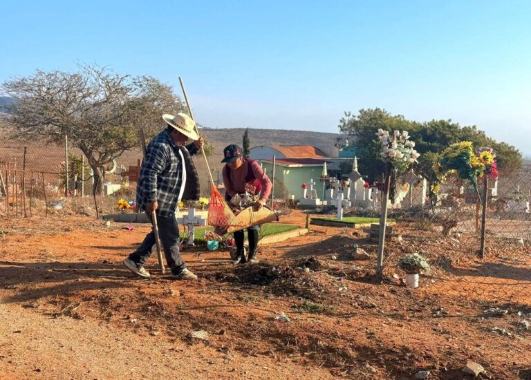 WhatsApp Image 2025-11-01 at 11.04.59 AM