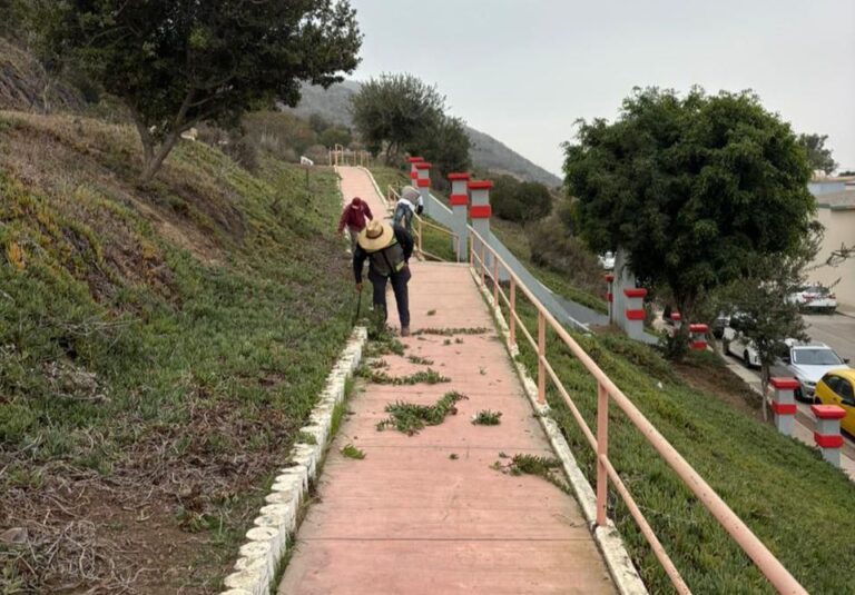 WhatsApp Image 2025-11-03 at 1.35.08 PM (1)