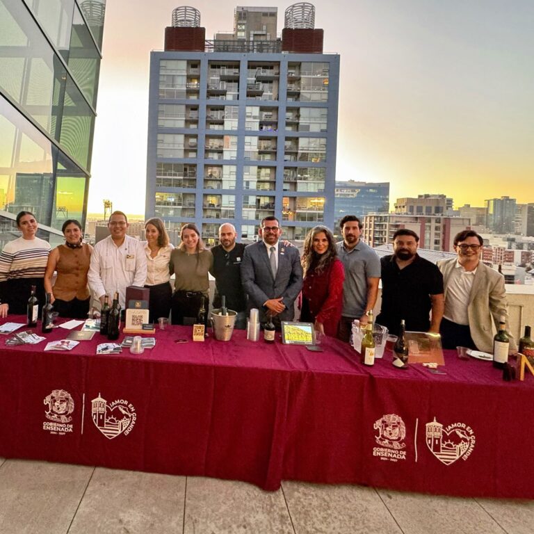 WhatsApp Image 2025-11-03 at 3.17.34 PM