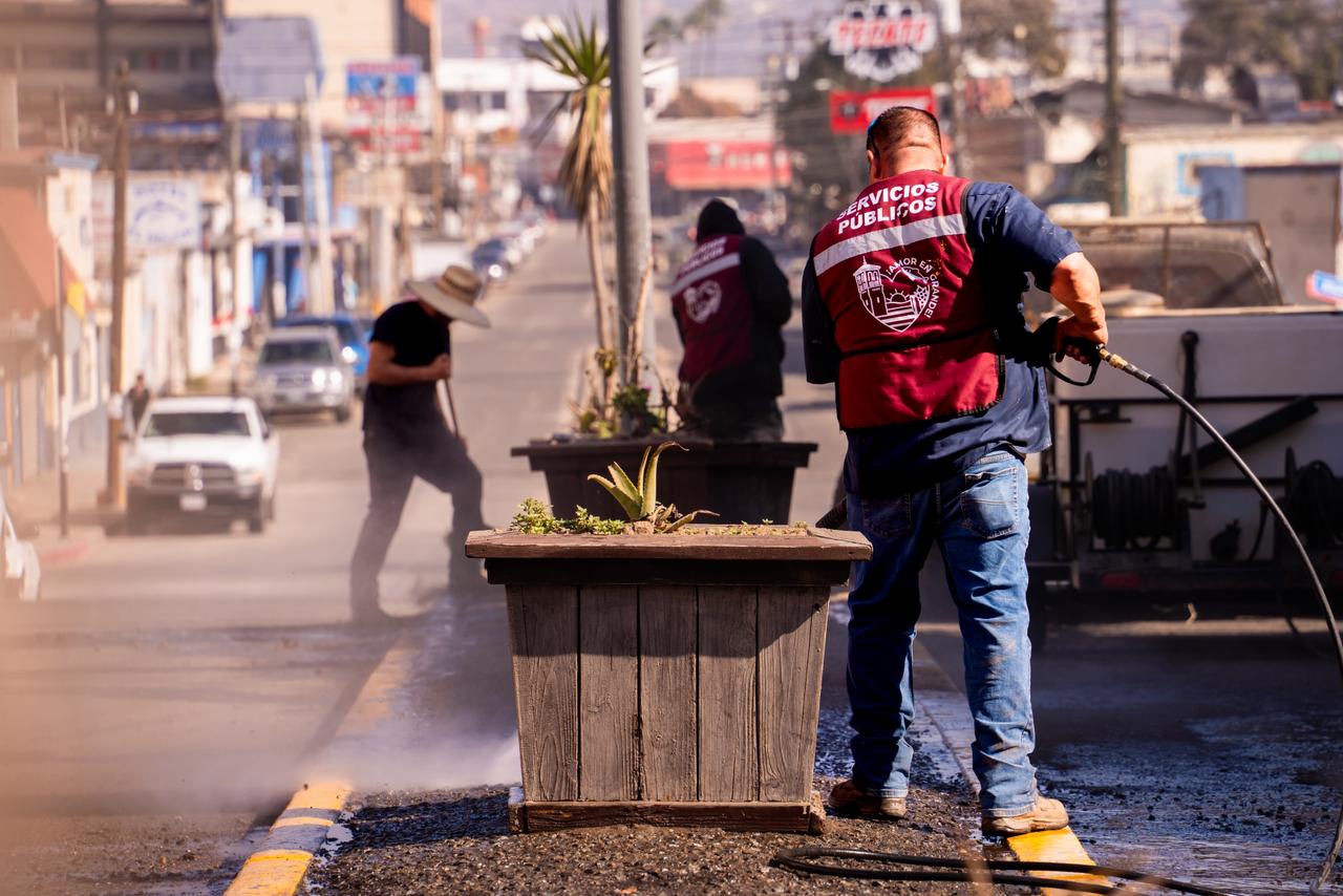 WhatsApp Image 2025-11-04 at 1.30.43 PM