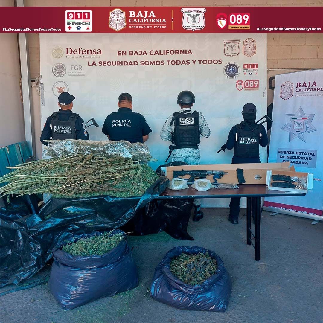 WhatsApp Image 2025-11-07 at 5.00.48 PM