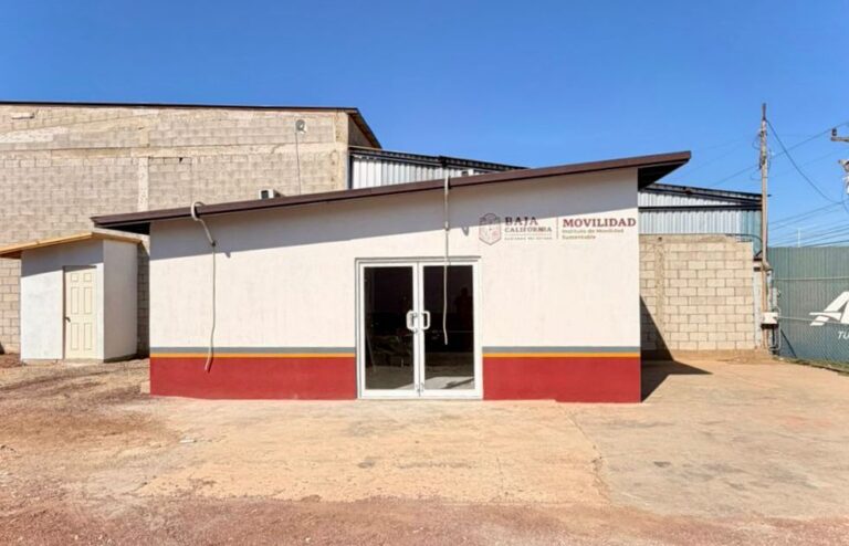 WhatsApp Image 2025-11-08 at 12.54.00 PM